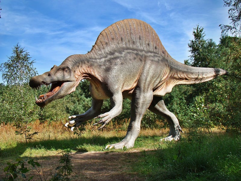 Dinosaur Expeditions